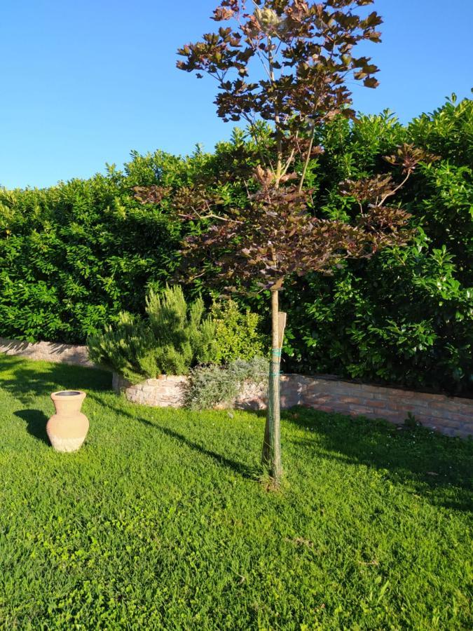 Soggiorno In Relax Correggioverde Dış mekan fotoğraf